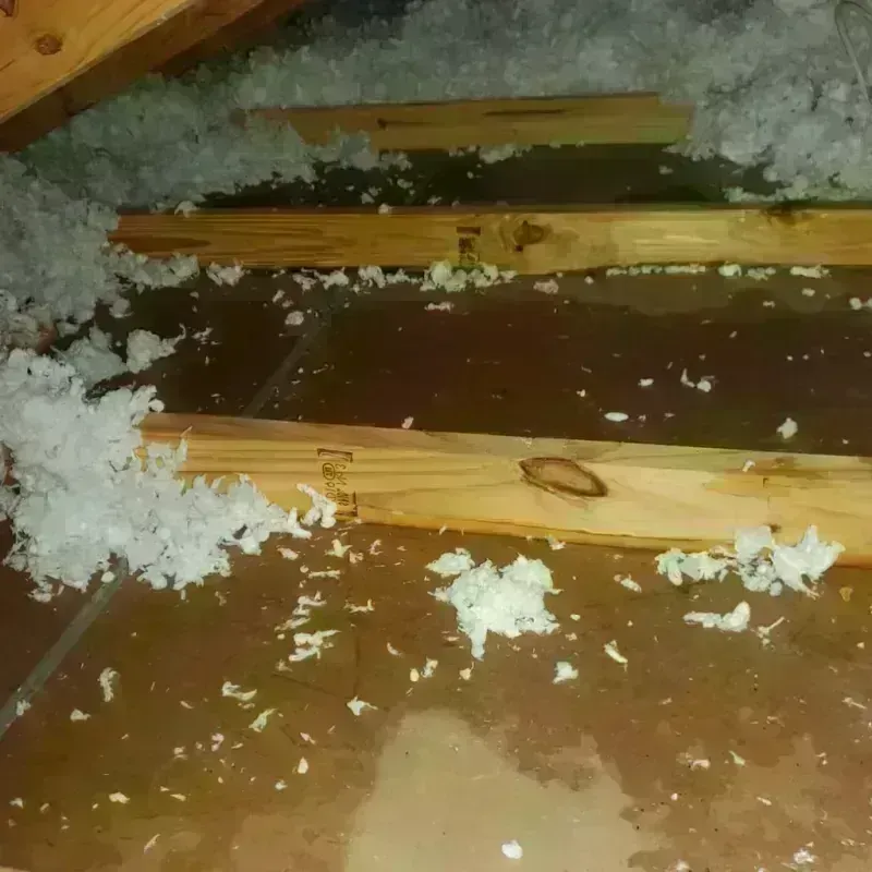 Attic Water Damage in Old River-Winfree, TX