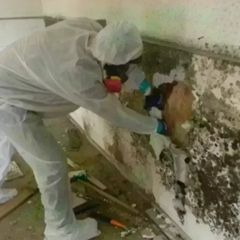 Mold Remediation and Removal in Old River-Winfree, TX