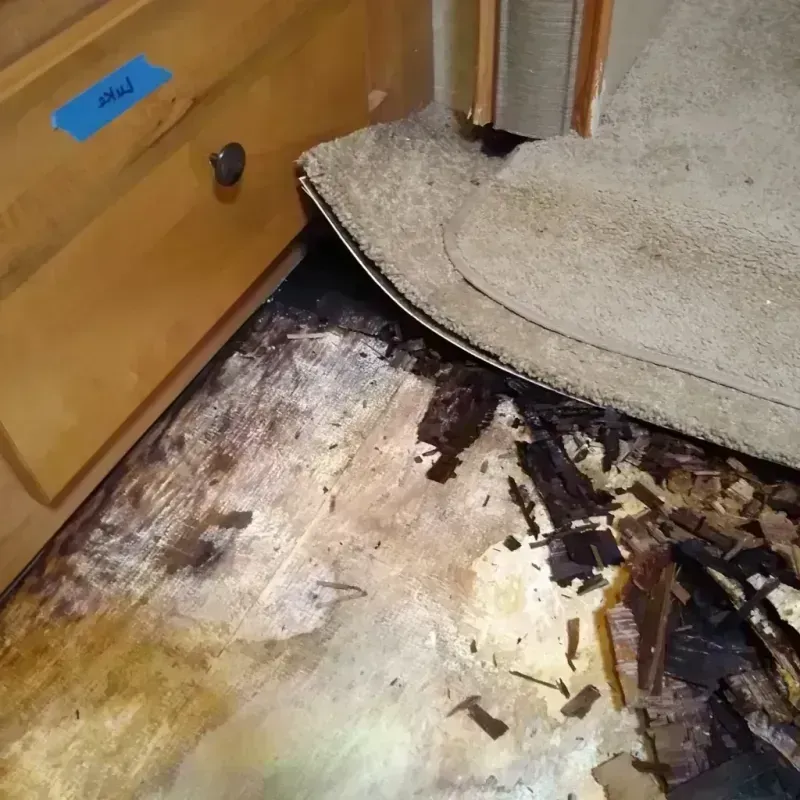 Best Wood Floor Water Damage Service in Old River-Winfree, TX